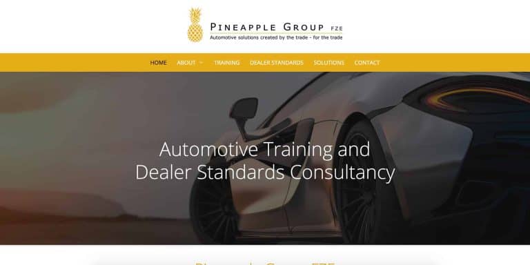 Pineapple Group FZE Website